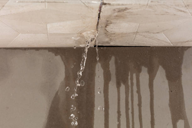 Professional Burst Pipe Cleanup technician working in Loveland, CO